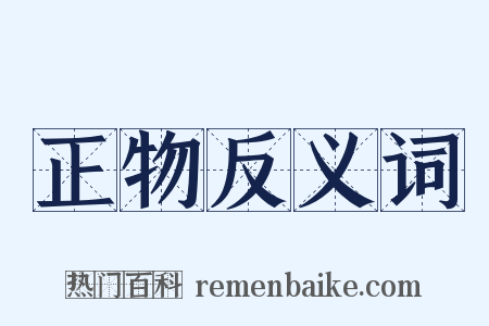 正物反义词是什么意思的图片